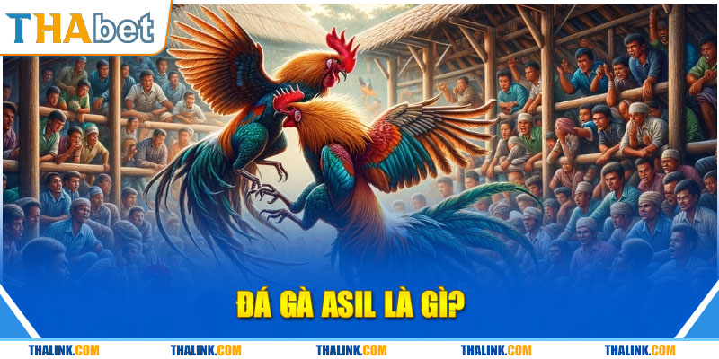 Thông tin cần nắm về hình thức đá gà trực tuyến 