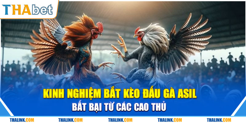 Kinh nghiệm đá gà khiến các game thủ nhanh phát tài